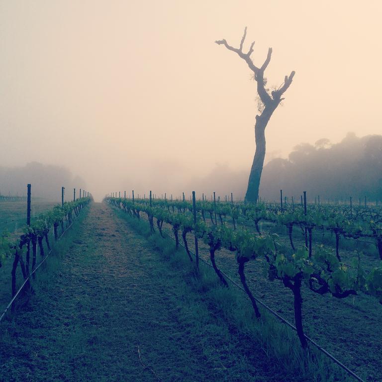 Island Brook Estate Winery And Chalets Margaret River Kültér fotó