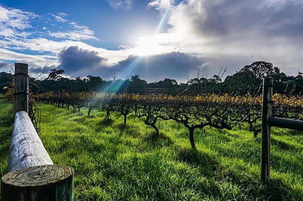 Island Brook Estate Winery And Chalets Margaret River Kültér fotó