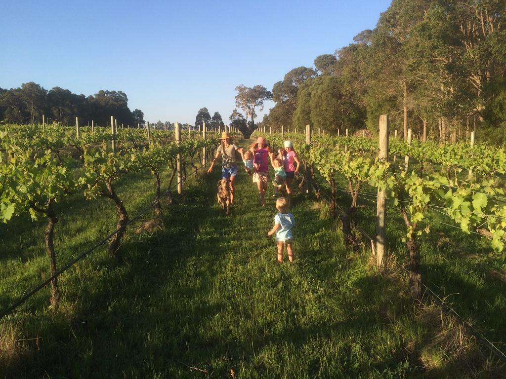 Island Brook Estate Winery And Chalets Margaret River Kültér fotó