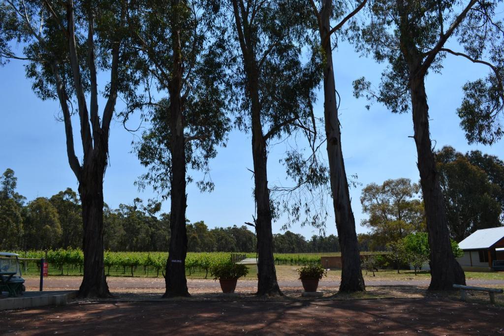 Island Brook Estate Winery And Chalets Margaret River Kültér fotó